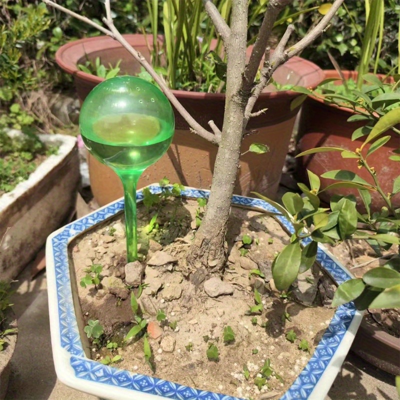 6 Stück Selbstbewässernde Bäll – Urban Farming System Bewertung und Preis