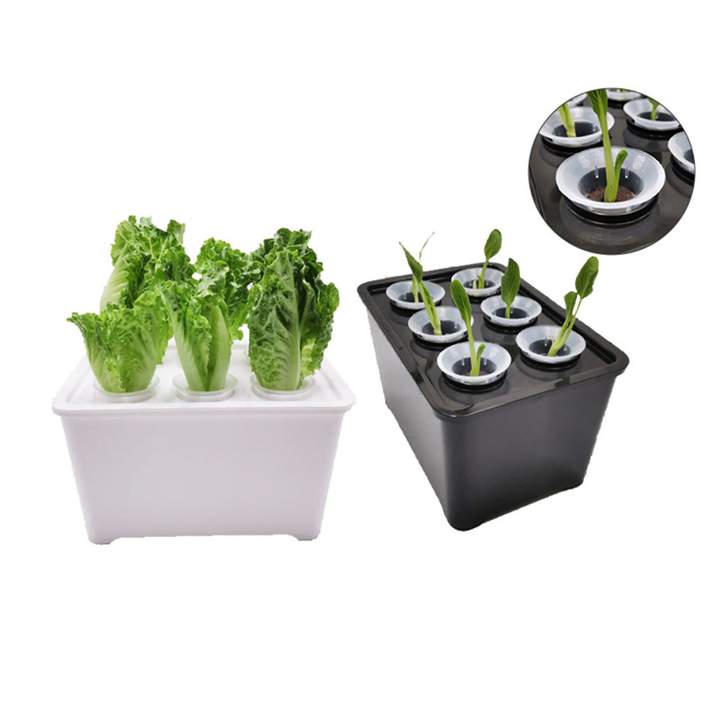 Weiß-schwarzes Pflanzenwachstu – Urban Farming Usa Bewertung und Preis